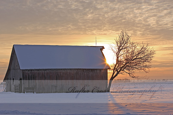 Cold morning
