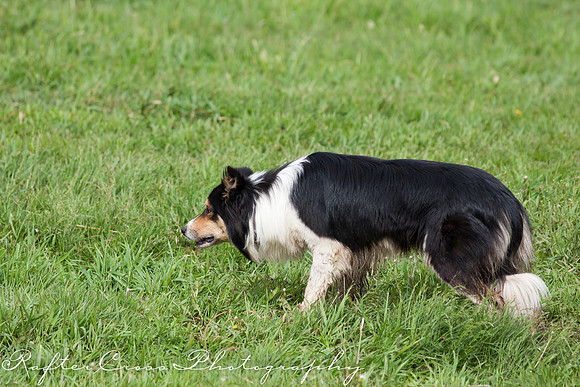 _MG_2296-1