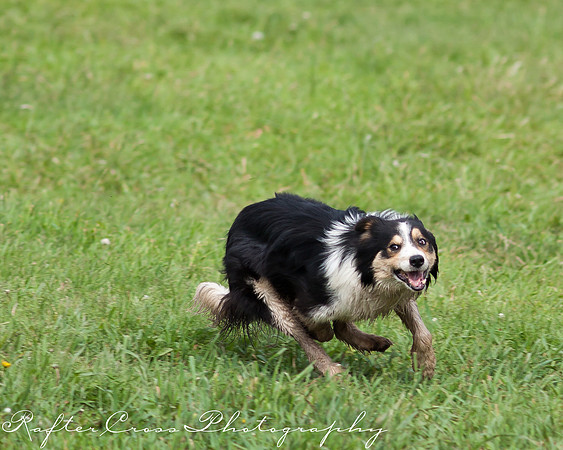 _MG_2305-5