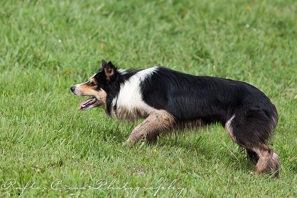 _MG_2314-8