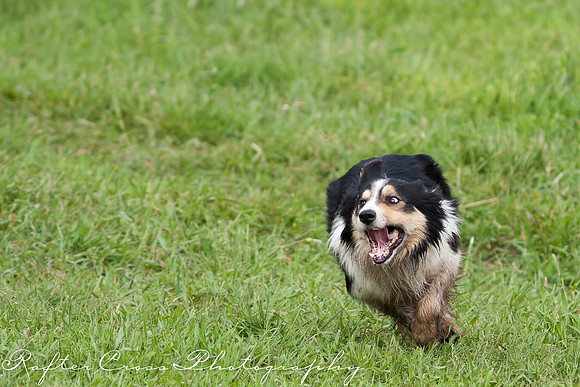 _MG_2319-12