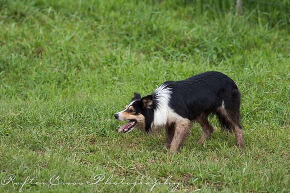 _MG_2326-16