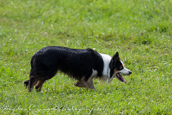 _MG_3008-13