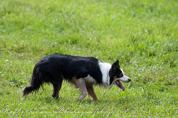 _MG_3009-14