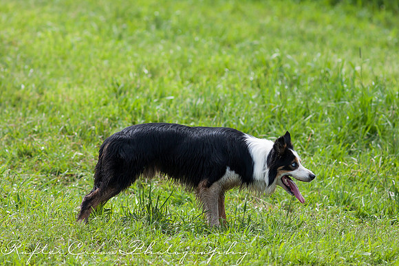 _MG_3010-15