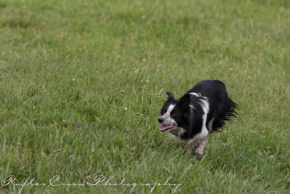 _MG_3500-74