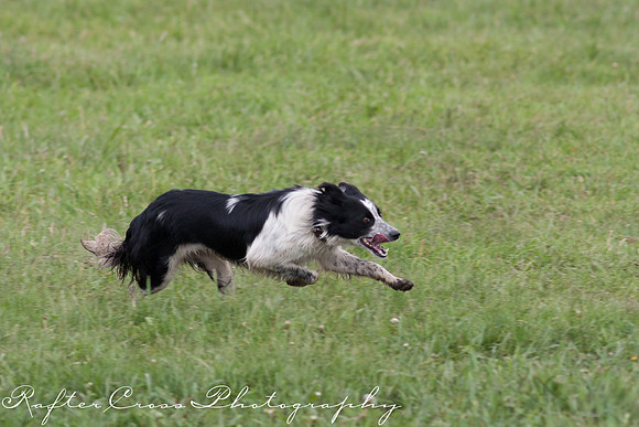 _MG_3503-76