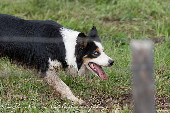 _MG_3767-5