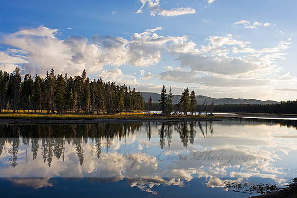 Reflections