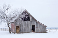 Winter scenes