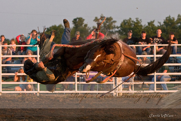 Rodeo